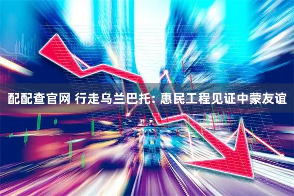 配配查官网 行走乌兰巴托: 惠民工程见证中蒙友谊