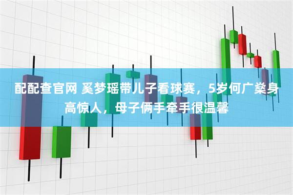配配查官网 奚梦瑶带儿子看球赛，5岁何广燊身高惊人，母子俩手牵手很温馨