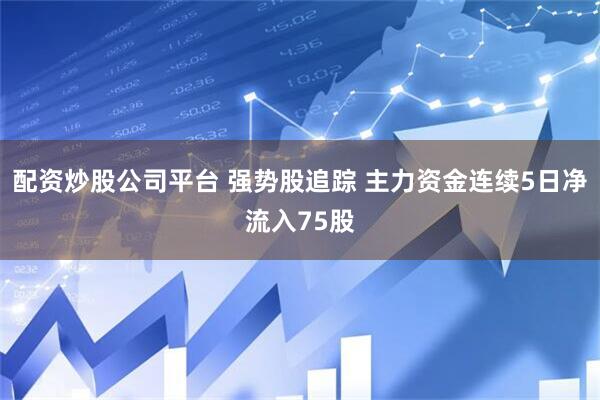 配资炒股公司平台 强势股追踪 主力资金连续5日净流入75股
