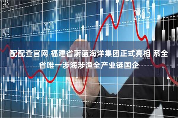 配配查官网 福建省蔚蓝海洋集团正式亮相 系全省唯一涉海涉渔全产业链国企